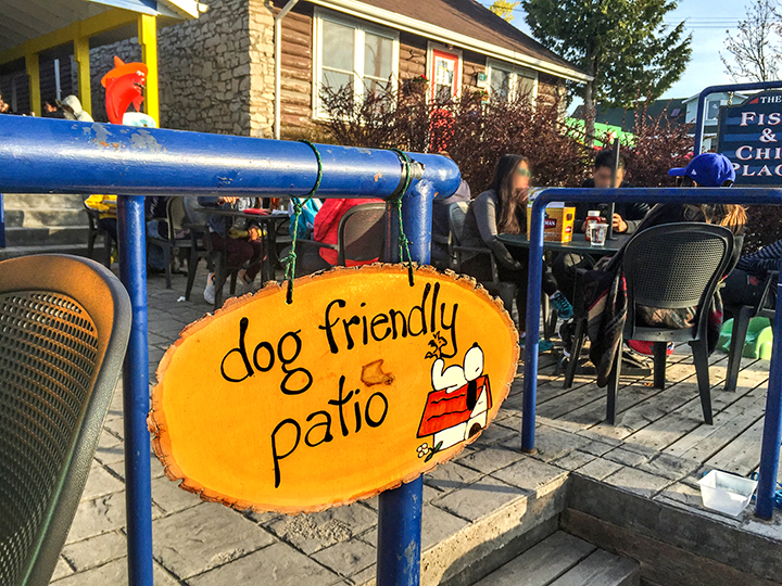 Dog friendly in Tobermory Ontario
