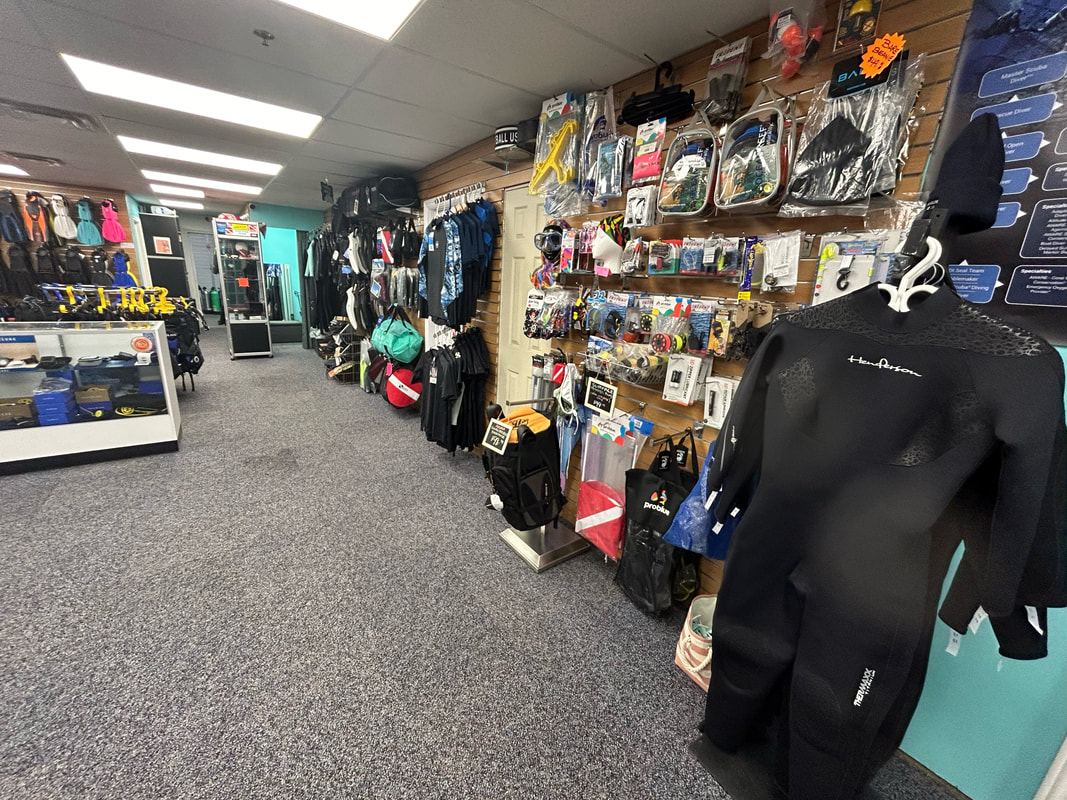 dive shop for sale