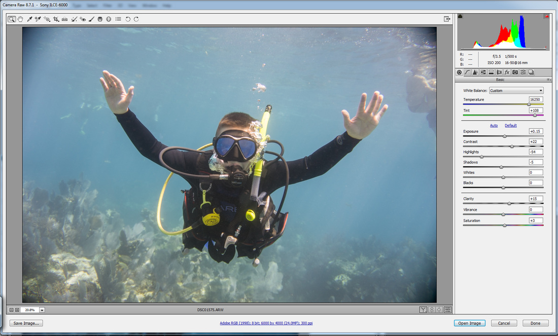 Underwater Photography Colour correction in Photoshop