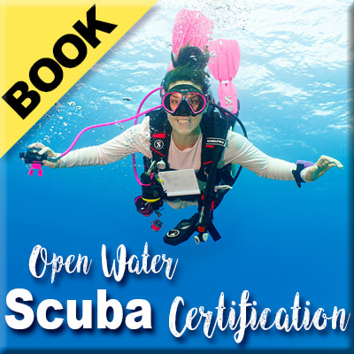 scuba class