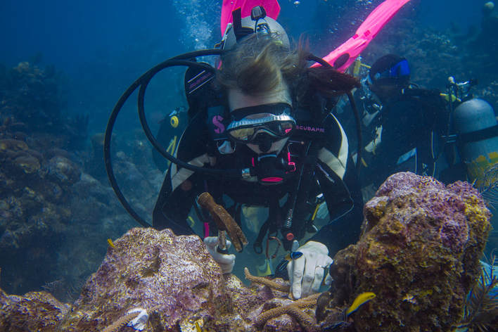Coral Restoration scuba